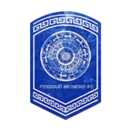 上海农商银行女足